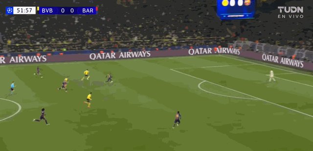 1733956872992056782.gif 0-1拉菲尼亚.gif